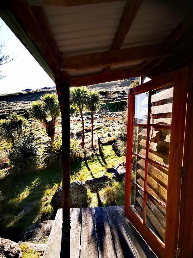 Manaaki Mai, Rustic Retreat Bush Cabin 基督城 外观 照片